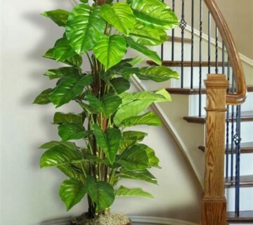 What is Artificial Plant?